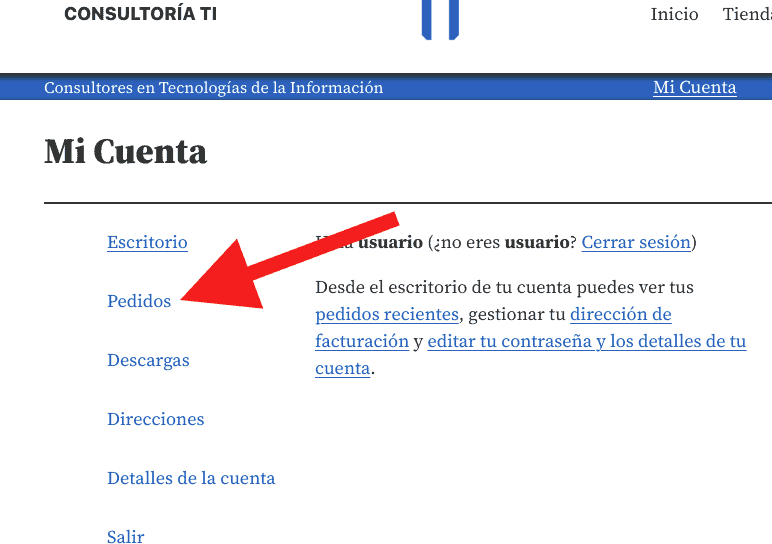 Realizar el pago de un pedido de cotización - Consultoría TI